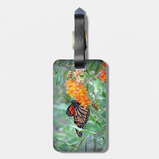 Schmetterlings-Gepäckanhänger Gepäckanhänger (Rückseite vertikal)