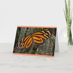 Schmetterlings-Inspiration Karte