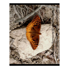 Schmetterlings-Inspiration Poster