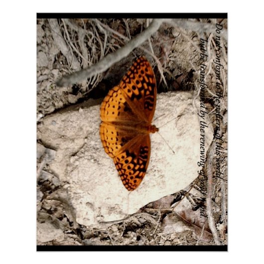 Schmetterlings-Inspiration Poster (Vorderseite)