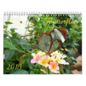 Schmetterlings-Kalender 2013 Kalender (Titelbild)