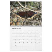 Schmetterlings-Kalender 2014 Kalender (Feb 2027)