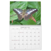 Schmetterlings-Kalender 2014 Kalender (Feb 2027)