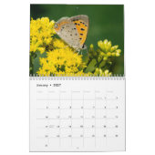 Schmetterlings-Kalender 2017 Kalender (Jan 2027)