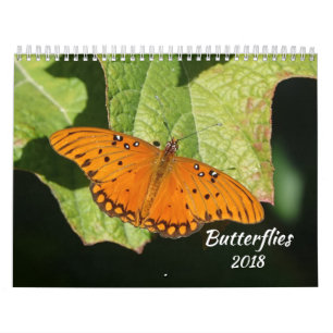 Schmetterlings-Kalender 2018 Kalender