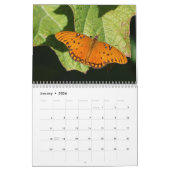 Schmetterlings-Kalender 2018 Kalender (Jan 2026)