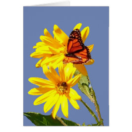 Schmetterlings-Lächeln