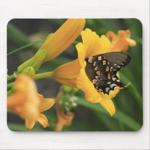Schmetterlings-Lilie Mousepad