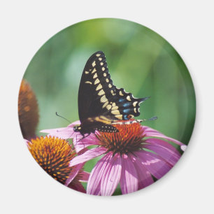 Schmetterlings-Magnet Magnet