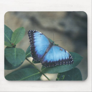 Schmetterlings-Mausunterlage Mousepad