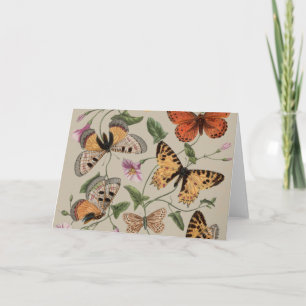 Schmetterlings-Motte-Natur-Kollektion-Zeichnung Dankeskarte
