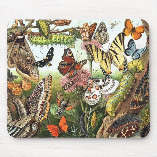 Schmetterlings-Motten-Raupen-wild lebende Tiere Mousepad (Vorne)