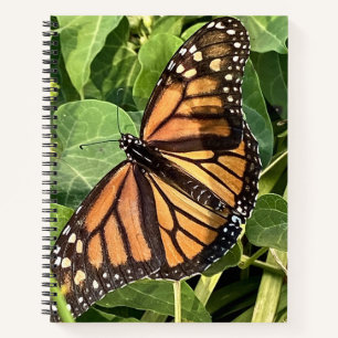Schmetterlings Notizbuch