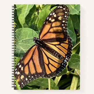 Schmetterlings Notizbuch