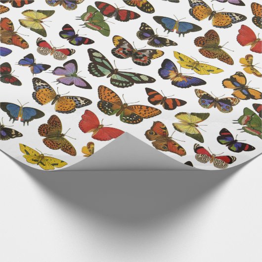 Schmetterlings-Packpapier Geschenkpapier (Ecke)