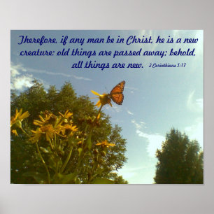 Schmetterlings-Plakat Poster