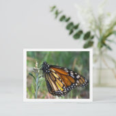 Schmetterlings-Postkarte Postkarte (Stehend Vorderseite)