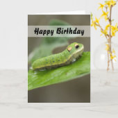 Schmetterlings-Raupen-Larve Karte (Gelbe Blume)