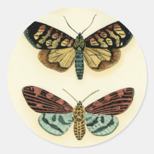 Schmetterlings-Sammlung durch Chariklia Zarris Runder Aufkleber