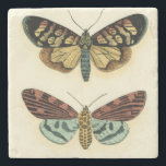 Schmetterlings-Sammlung durch Chariklia Zarris Steinuntersetzer<br><div class="desc">Diese Malerei von Chariklia Zarris ist der Traum Lepidopterists! Ein erstaunlich ausführlicher Druck einer Schmetterlingssammlung,  dieses Stück ist in seinem Gebrauch von Farbe atemberaubend. Erhalten Sie Ihre Kopie heute!</div>