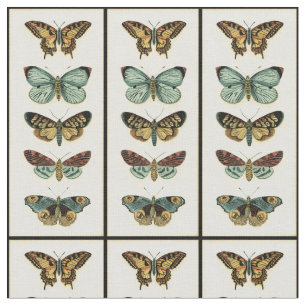 Schmetterlings-Sammlung durch Chariklia Zarris Stoff