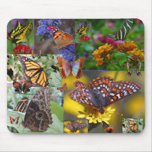 SCHMETTERLINGS-STEPPDECKE! Mousepad