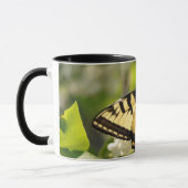 Schmetterlings-Tasse Tasse (Links)