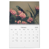 Schmetterlings-u. Marienkäfer-Fotografie-Kalender Kalender (Feb 2026)