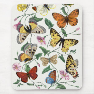 Schmetterlings- und Mottenmalerei im Vintage-Stil Mousepad