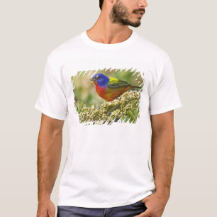 Schmetterlingsammer T-Shirt