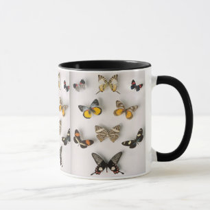 Schmetterlingsammlung, Wecker-Tasse Tasse