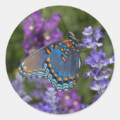 Schmetterlingsaufkleber Nr. 1 Runder Aufkleber (Vorderseite)