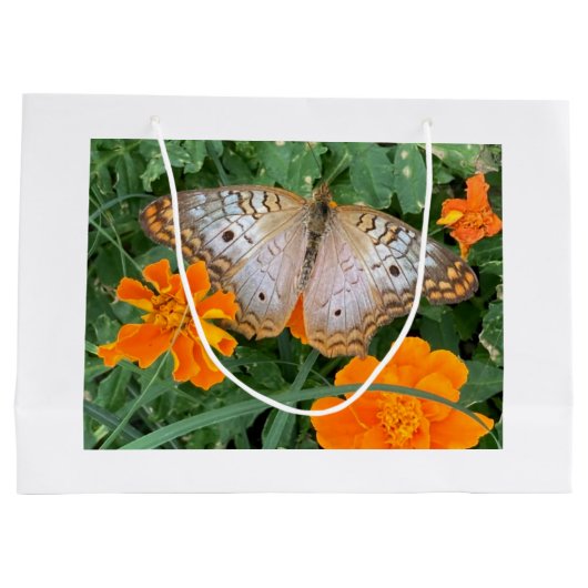 Schmetterlingsbeutel Große Geschenktüte (Rückseite)