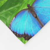 Schmetterlingsblattnatur wings niedliches Blau des Fleecedecke (Ecke)