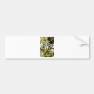 Schmetterlingsblumen Blüten Hochzeit Brause Friede Autoaufkleber