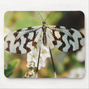 Schmetterlingsblumen Blüten Hochzeit Brause Friede Mousepad