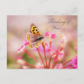 Schmetterlingsdenken an dich postkarte (Vorderseite)