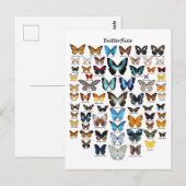 Schmetterlingsdiagramm Postkarte (Vorne/Hinten)