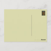 Schmetterlingseide ~ Postkarte / Einladungen (Rückseite)