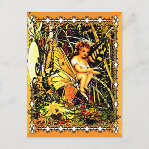 Schmetterlingsfahrten Postkarte