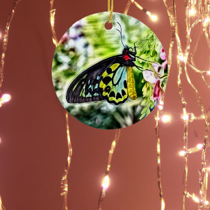 Schmetterlingsfarbe Keramik Ornament