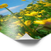 Schmetterlingsfeld Fotodruck (Ecke)