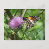 Schmetterlingsfest auf der lila Sippe Postkarte (Vorderseite)