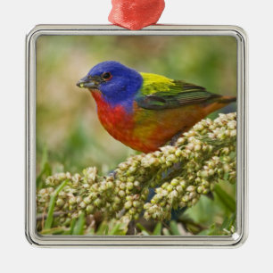 Schmetterlingsfink Ornament Aus Metall