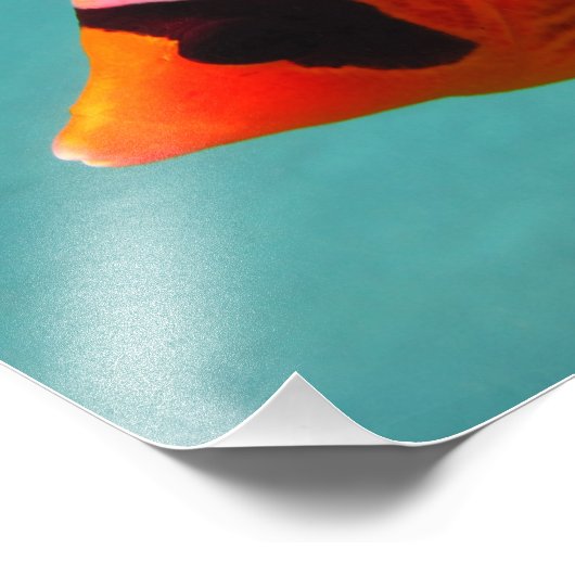 Schmetterlingsfisch Fotodruck (Ecke)