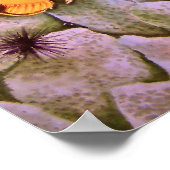 Schmetterlingsfisch Poster (Ecke)