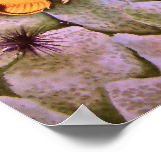 Schmetterlingsfisch Poster (Ecke)