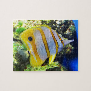 Schmetterlingsfisch Puzzle