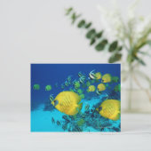 Schmetterlingsfisch-Schule Schwimmen auf dem Meere Postkarte (Stehend Vorderseite)