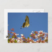 Schmetterlingsflattern Postkarte (Vorne/Hinten)